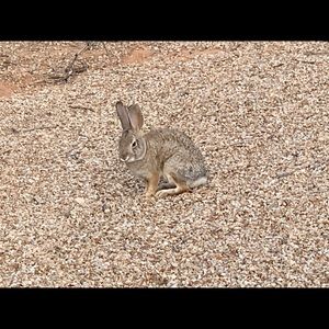 Meet your Posher, Jane
